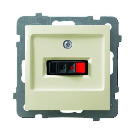 Gniazdo głośnikowe...