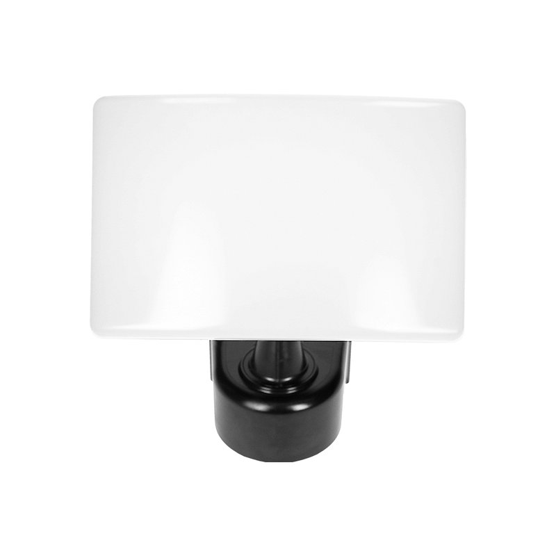 TOS LED 30W naświetlacz ogrodowy LED Czarny